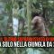 Brasile, filmato l’ultimo sopravvissuto di una tribù: da 22 anni vive da solo nella giungla