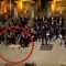 Cane sul palco durante il concerto: gli applausi sono tutti per lui