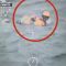 Pending – Youtube Automatic