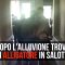 Un alligatore in salotto? In Texas, dopo Harvey, succede anche questo