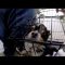 Pending – Youtube Automatic