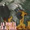 Rieti, a fuoco la “pineta del Duce”: colpa di un bollitore per pomodori