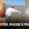 Pending – Youtube Automatic