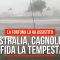 Australia, cagnolino sfida la tempesta: una ragazza lo ha salvato e riportato ai padroni