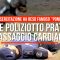 Cane poliziotto pratica massaggio cardiaco