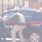 Pisa, ambulante senegalese tira un pugno in faccia a un carabiniere