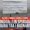 Cilento, cinghiale in spiaggia ad Acciaroli: paura tra i bagnanti