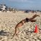Usa, “quattro passi” in spiaggia così non li avete mai visti…
