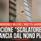 Il procione “scalatore” che si lancia dal nono piano: l’incredibile volo dell’orsetto lavatore