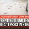 In Trentino il maltempo “porta” i pesci in strada