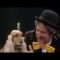 I 10 cani più famosi del cinema e della tv