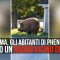 Alabama, gli abitanti di Phenix City hanno un nuovo vicino di casa… un enorme maiale