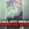 Australia, agente immobiliare pesca con le mani uno squalo