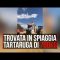 Spagna, ritrovata in spiaggia una tartaruga di 700kg