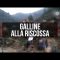 Galline alla riscossa, il raduno al suono del fischietto