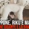 Dal Giappone l’incredibile storia di Riku e Mame, il cane gigante e la bambina