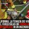 Usa, vigili del fuoco salvano cane intossicato in un incendio