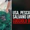 Usa, il salvataggio del cucciolo di foca