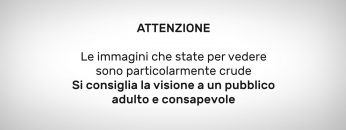 Pending – Youtube Automatic