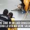 Canada, cane cade in un laghetto ghiacciato: stava per morire assiderato ma viene salvato