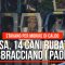 Usa, 14 cani rubati riabbracciano i padroni, stavano per morire di caldo