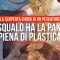 Lo squalo ha la pancia piena di plastica