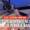 Pending – Youtube Automatic