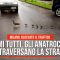 Fermi tutti, gli anatroccoli attraversano la strada: bloccato il traffico a Buccinasco
