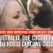 Australia, due cuccioli di panda rosso cercano coccole