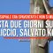 Resta due giorni su un traliccio, salvato koala in Australia