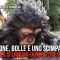 Sapone, bolle e uno scimpanzé: il video di Limbani fa impazzire il web