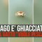 Il lago è ghiacciato, ma il gatto “vuole pescare”