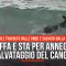 Si tuffa e rischia di annegare: il salvataggio del canguro