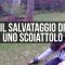 Usa, il salvataggio di uno scoiattolo: un ragazzo ha rianimato il roditore dopo averlo quasi investi