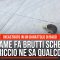La fame fa brutti scherzi: il riccio ne sa qualcosa. L’animaletto è rimasto incastrato in un baratto