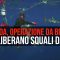 Florida, operazione da brivido: sub “liberano” squali da ami