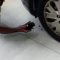 Miami, incastrato nel motore di un’auto: gattino salvato dai poliziotti