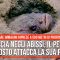 Usa, caccia negli abissi, il pesce nascosto attacca la sua preda