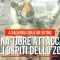 Usa, una tigre attacca gli ospiti dello zoo: a salvarli solo un vetro