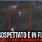 Florida, il sospettato è in fuga: a fermarlo ci pensa una mandria di mucche