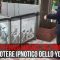 Giappone, i pinguini ipnotizzati dallo Yo-Yo