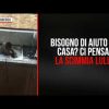 Pending – Youtube Automatic