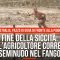 Fine della siccità: l’agricoltore corre seminudo nel fango
