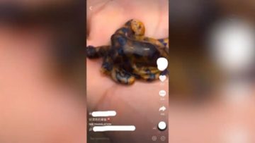 video_blitz