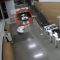 Donna sfonda l’ingresso ed entra in auto nella stazione di polizia