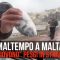 Maltempo a Malta, “piovono” pesci in strada
