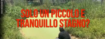 Privato: Pending – Youtube Automatic