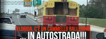 Privato: Pending – Youtube Automatic