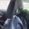 Sorpresa in auto: il koala si gode l’aria condizionata sul sedile