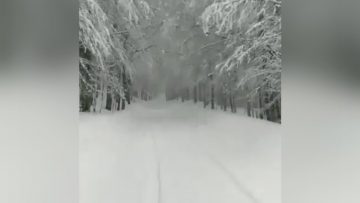 Privato: Pending – Youtube Automatic